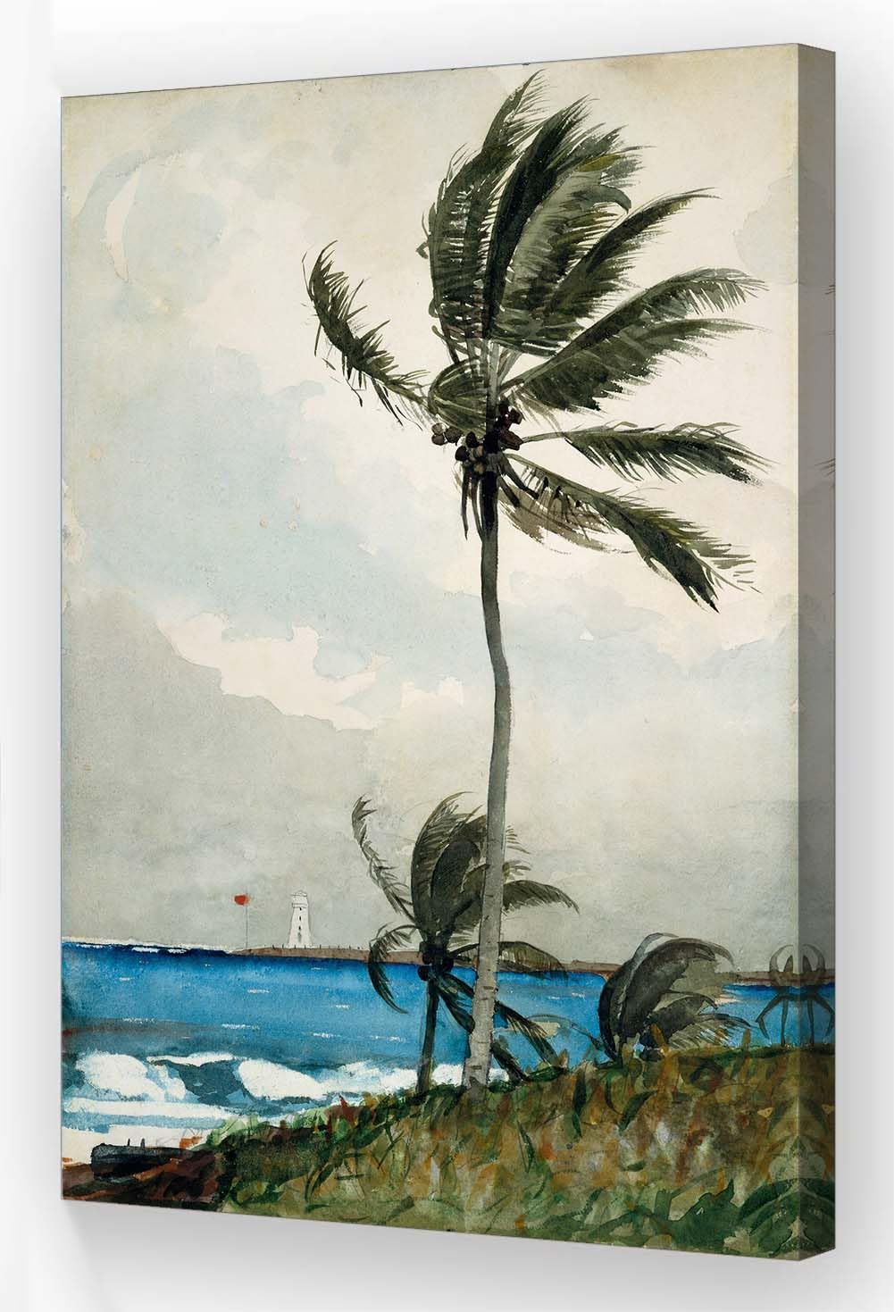Vintage Palm Tree Wall Art for Walls Hanging Pictures Realism Art Famous Paintings Posters Prints Framed Tree Canvas Dec